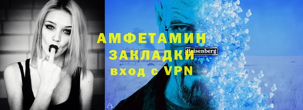 прущие грибы Кулебаки