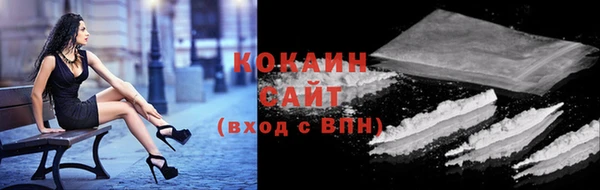 прущие грибы Кулебаки