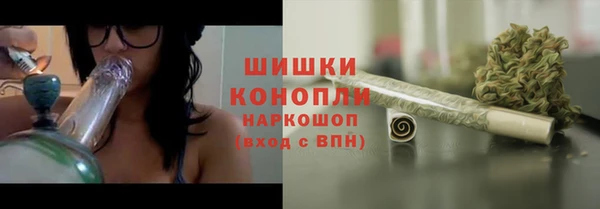 прущие грибы Кулебаки