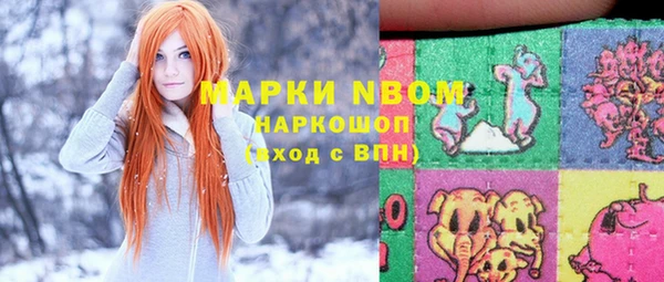 прущие грибы Кулебаки
