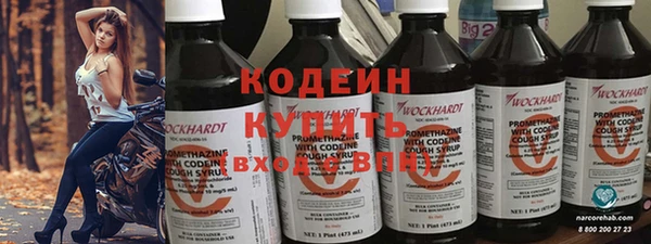 прущие грибы Кулебаки