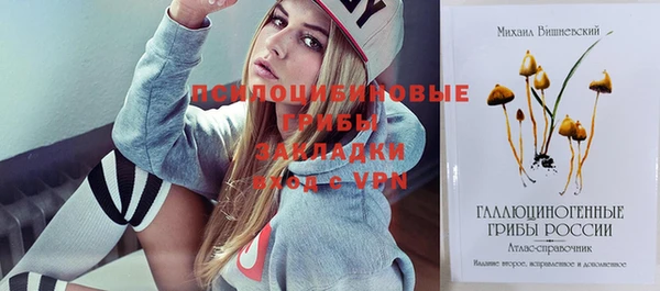 прущие грибы Кулебаки