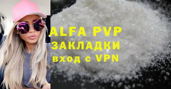 индика Лабытнанги