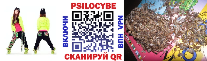 Купить закладки  Кольчугино  Галлюциногенные грибы MAGIC MUSHROOMS 