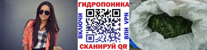 Купить  Кольчугино  Бошки марихуана марихуана 